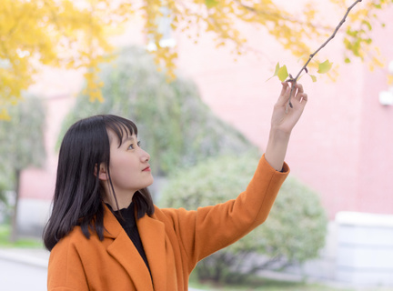 菲律宾大学排名怎么样